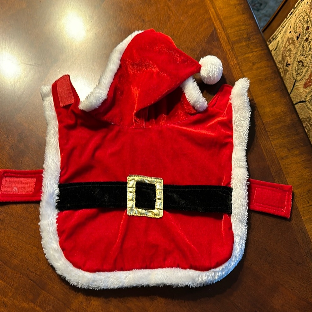 Santa outfit for a small dog